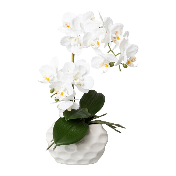Kopu Kunstplant Orchidee 33 cm - In Witte Sierpot 13x9cm - Wit