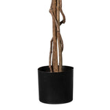 Kopu Kunstplant Ficus 180 cm - in pot - met Natuurstam