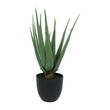 Kopu® Kunstplant Aloe Vera 55 cm in zwarte Bloempot - 17 bladeren