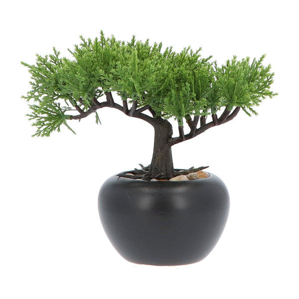 Kopu® 2 stuks Kunstplant Bonsai boompje Ceder 19 en 25 cm met Pot