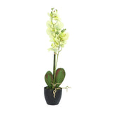 Kopu® Kunstbloem Orchidee 65 cm Groen met zwarte Schaal - Phalenopsis