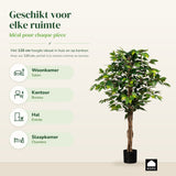 Kopu® Kunstplant Ficus 120 cm in pot - 630 bladeren met Natuurstam