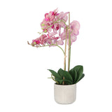 Kopu® Kunstbloem Orchidee 60 cm Roze -  cement Sierpot - Phalenopsis