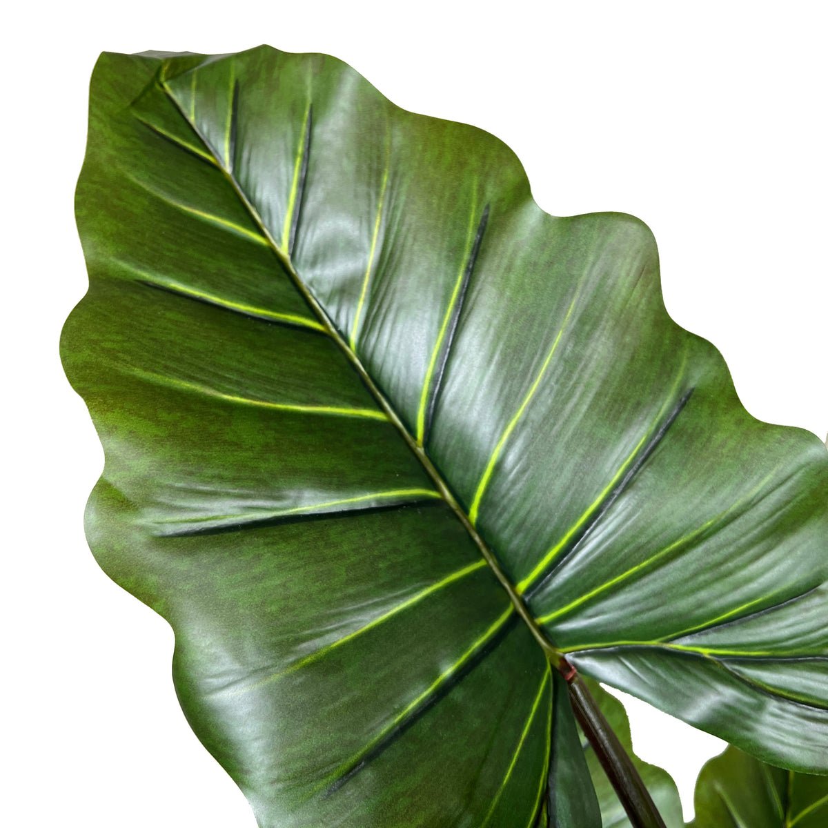 Kopu® Kunstplant Colocasia 180 cm - 19 bladeren - in zwarte pot