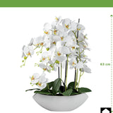 Kopu® Kunstbloem Orchidee 60 cm Wit met Schaal Ovaal - Phalenopsis
