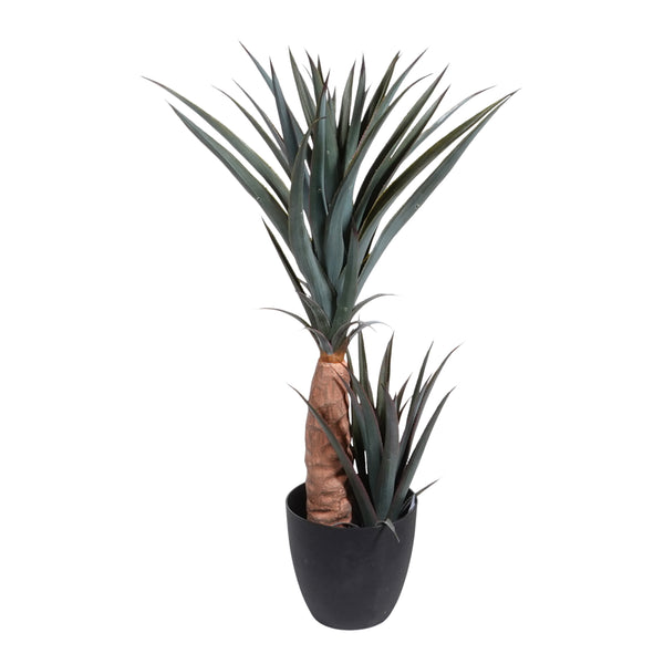 Kopu® Kunstplant Agave 80 cm in zwarte Pot - 2 stammen - Nepplant