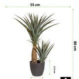 Kopu® Kunstplant Agave 80 cm in zwarte Pot - 2 stammen - Nepplant