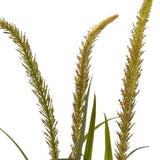 Kopu Kunstplant Miscanthus 90 cm - 3 pluimen - in zwarte pot
