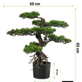 Kopu® Kunstplant Bonsai 65 cm - in zwarte Pot - Bonsai boompje