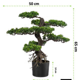 Kopu® Kunstplant Bonsai 65 cm - in zwarte Pot - Bonsai boompje