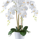 Kopu® Kunstbloem Orchidee 62 cm Wit met witte Pot - Phalenopsis