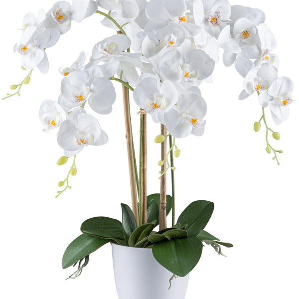 Kopu® Kunstbloem Orchidee 62 cm Wit met witte Pot - Phalenopsis