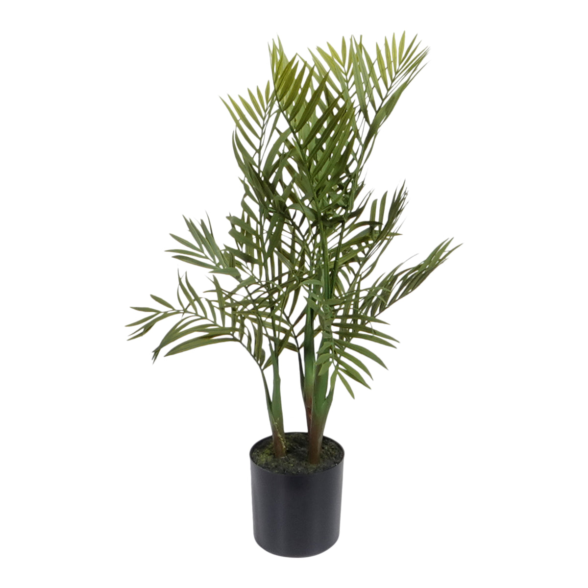 Kopu® Kunstplant Bergpalm 65 cm 3 stammen - in zwarte pot - Nepplant