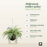 Kopu Kunstplant BOL met diverse Varen Hangplanten 25 cm - Groen
