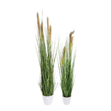 Kopu® Kunstplant Pampusgras 95 cm - 3 pluimen - in witte pot