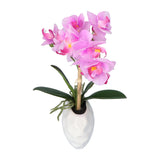 Kopu® Kunstplant Orchidee 33 cm in witte Sierpot 13x9cm - Roze