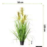 Kopu® Kunstplant Chinees Riet 120 cm - 4 pluimen - in zwarte pot