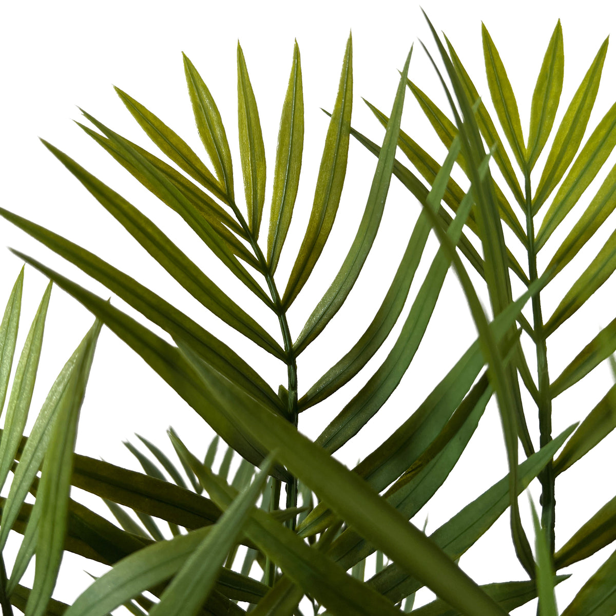 Kopu® Kunstplant Bergpalm 65 cm 3 stammen - in zwarte pot - Nepplant