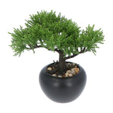 Kopu® 2 stuks Kunstplant Bonsai boompje Ceder 19 en 25 cm met Pot