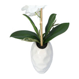 Kopu Kunstplant Orchidee 33 cm In Witte Sierpot 13x9cm - Wit