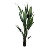 Kopu® Kunstplant Canna 210 cm 32 bladeren - in zwarte pot - Bloemriet