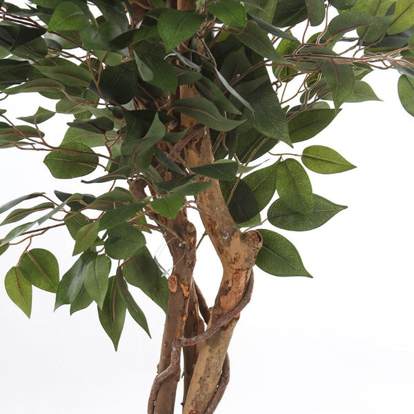 Kopu® Kunstplant Ficus 180 cm in pot met Natuurstam