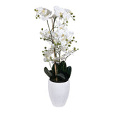 Kopu® Kunstbloem Orchidee 110 cm Wit Bloempot Rond - Phalaenopsis