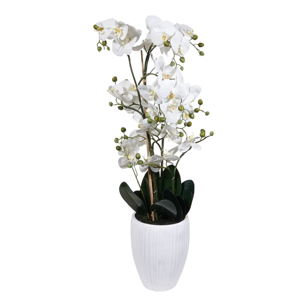 Kopu® Kunstbloem Orchidee 110 cm Wit Bloempot Rond - Phalaenopsis