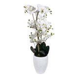 Kopu® Kunstbloem Orchidee 110 cm Wit Bloempot Rond - Phalaenopsis
