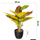 Kopu® 2 stuks Kunstplant Croton 35 cm - 14 bladeren - in zwarte pot