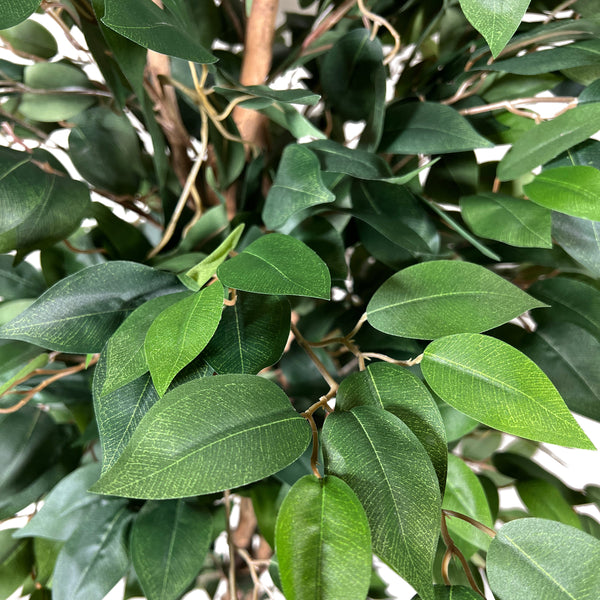 Kopu® Kunstplant Ficus Benjamina 150 cm in zwarte pot - 1764 bladeren