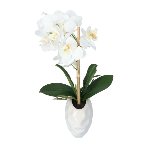 Kopu® Kunstplant Orchidee 33 cm in witte Sierpot 13x9cm - Wit