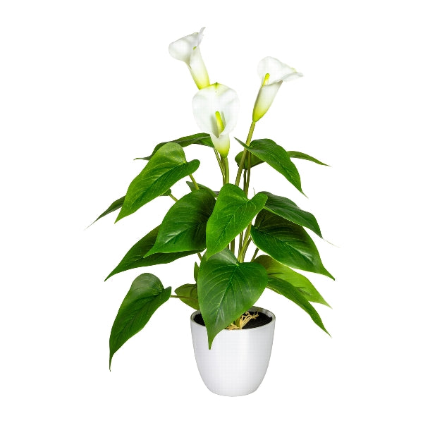 Kopu® 2 stuks Calla Kunstplant 44 cm - Zantedeschia Bekerplant Wit