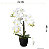 Kopu® Kunstbloem Orchidee 65 cm Wit met zwarte Pot - Phalenopsis