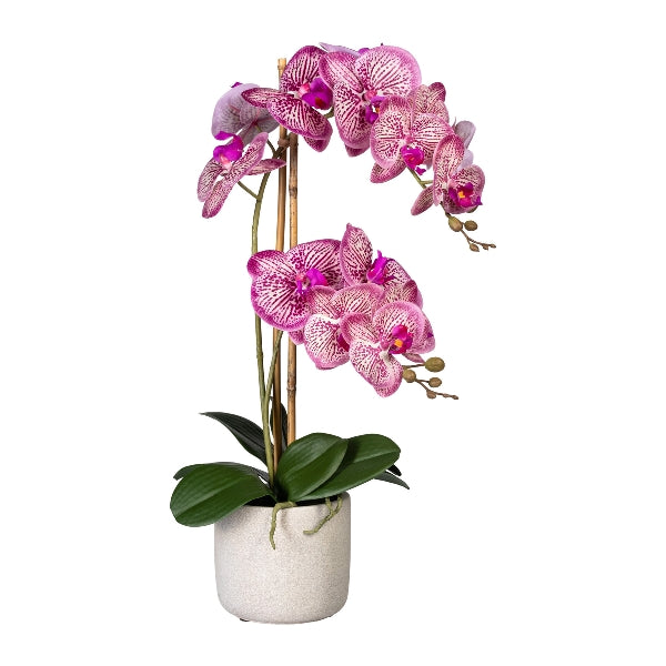 Kopu® Kunstbloem Orchidee 60 cm Roze -  cement Sierpot - Phalenopsis