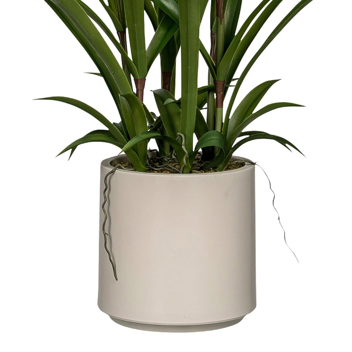 Kopu® Kunstbloem Orchidee Oncidium 98cm in pot - Wit