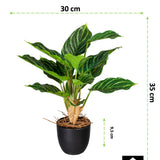 Kopu® 2 stuks Kunstplant Aglaonema 35 cm - 14 bladeren - in zwarte pot