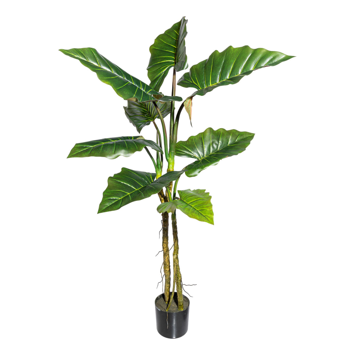 Kopu® Kunstplant Colocasia 140 cm - 8 bladeren - in zwarte pot