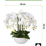 Kopu® Kunstbloem Orchidee 54 cm Wit met Schaal - Phalenopsis