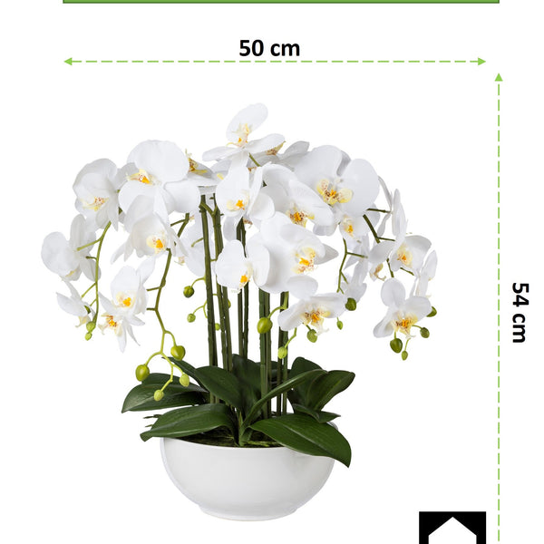 Kopu® Kunstbloem Orchidee 54 cm Wit met Schaal - Phalenopsis
