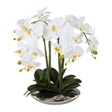 Kopu Kunstplant Orchidee 4 takken 41cm in Zilveren Schaal  - Wit