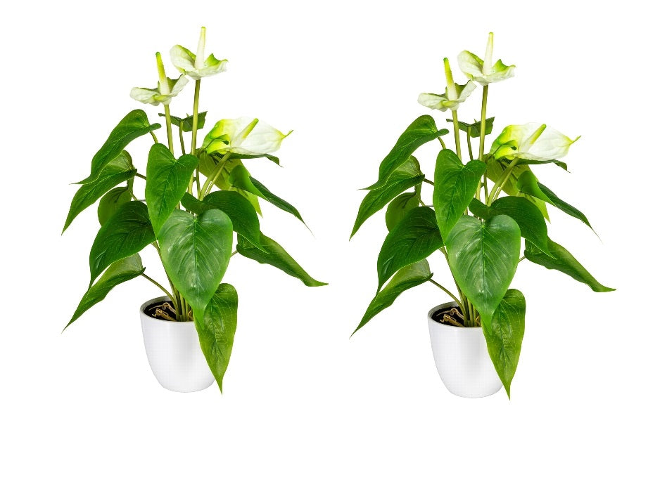 Kopu® 2 stuks Anthurium Wit Kunstplant 40 cm - Flamingoplant Wit