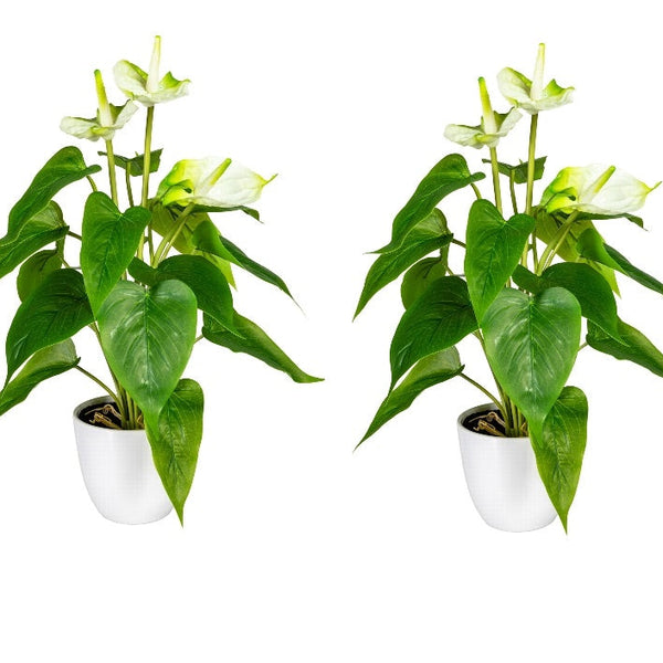 Kopu® 2 stuks Anthurium Wit Kunstplant 40 cm - Flamingoplant Wit