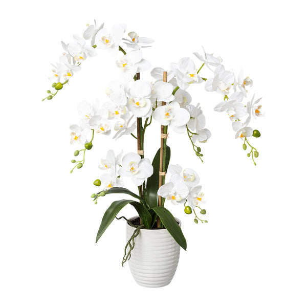 Kopu® Kunstbloem Orchidee 67 cm Wit In Bloempot Rond - Phalaenopsis