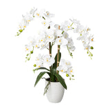 Kopu® Kunstbloem Orchidee 67 cm Wit In Bloempot Rond - Phalaenopsis