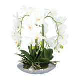 Kopu® Kunstplant Orchidee 4 takken 41cm in Zilveren Schaal  - Wit