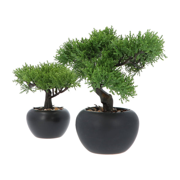 Kopu® 2 stuks Kunstplant Bonsai boompje Ceder 19 en 25 cm met Pot