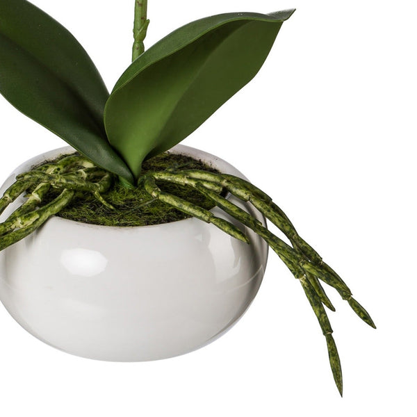 Kopu® Set 2 stuks Kunstplant Mini Orchidee 27 cm in witte Sierpot - Roze