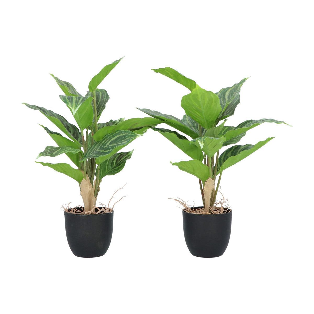 Kopu® 2 stuks Kunstplant Aglaonema 35 cm - 14 bladeren - in zwarte pot