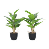 Kopu® 2 stuks Kunstplant Aglaonema 35 cm - 14 bladeren - in zwarte pot